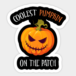 COOLEST PUMPKIN ON PATCH Halloween Costume gift Sticker